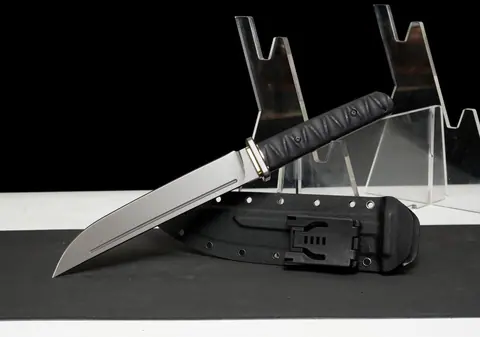Épée courte tactique Stealth Hawk, lame AUS-8 placage titane